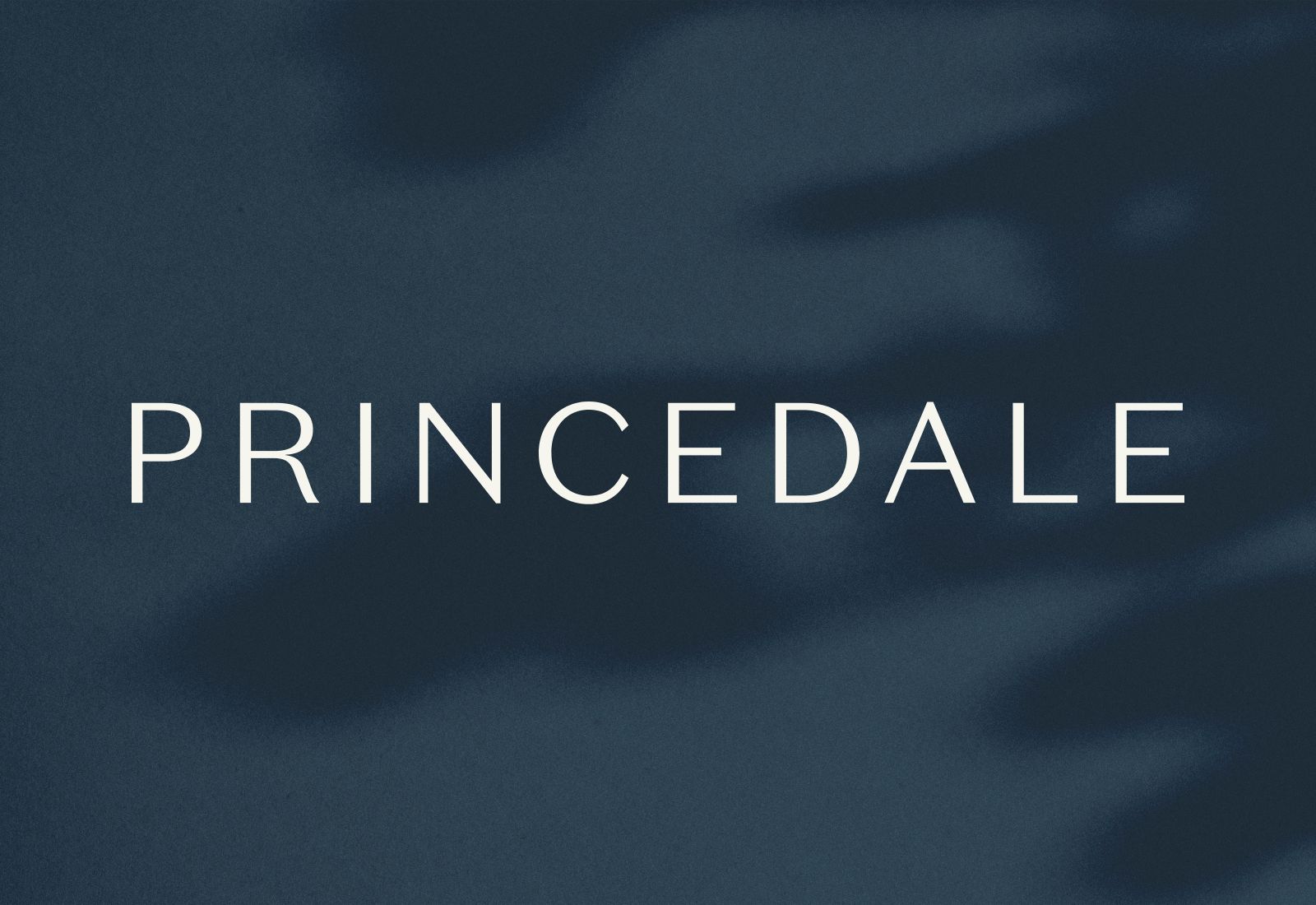 Logo and brand for Princedale by 93ft Sheffield